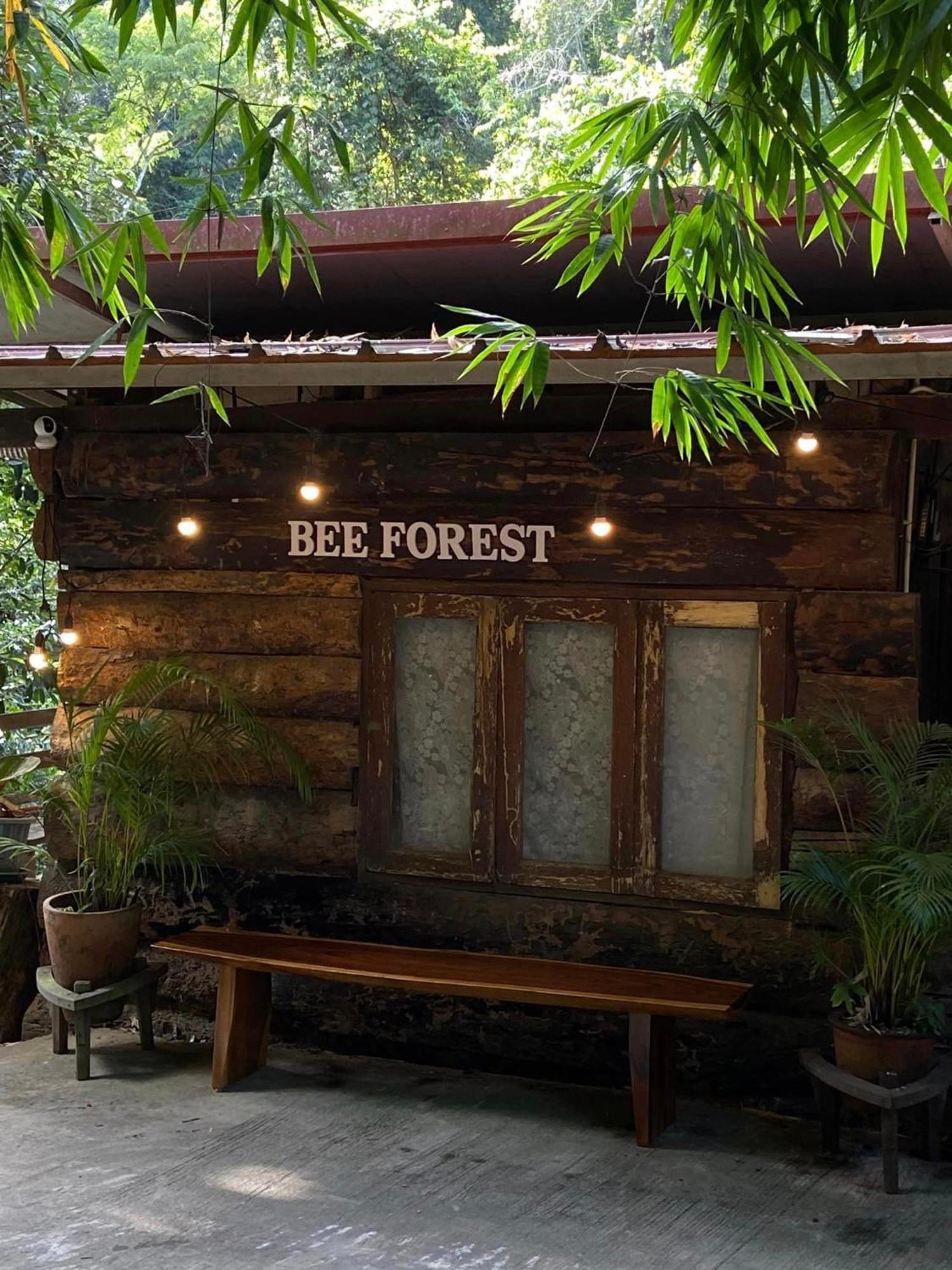 Bee Forest Ban Pok Nai Ngoại thất bức ảnh
